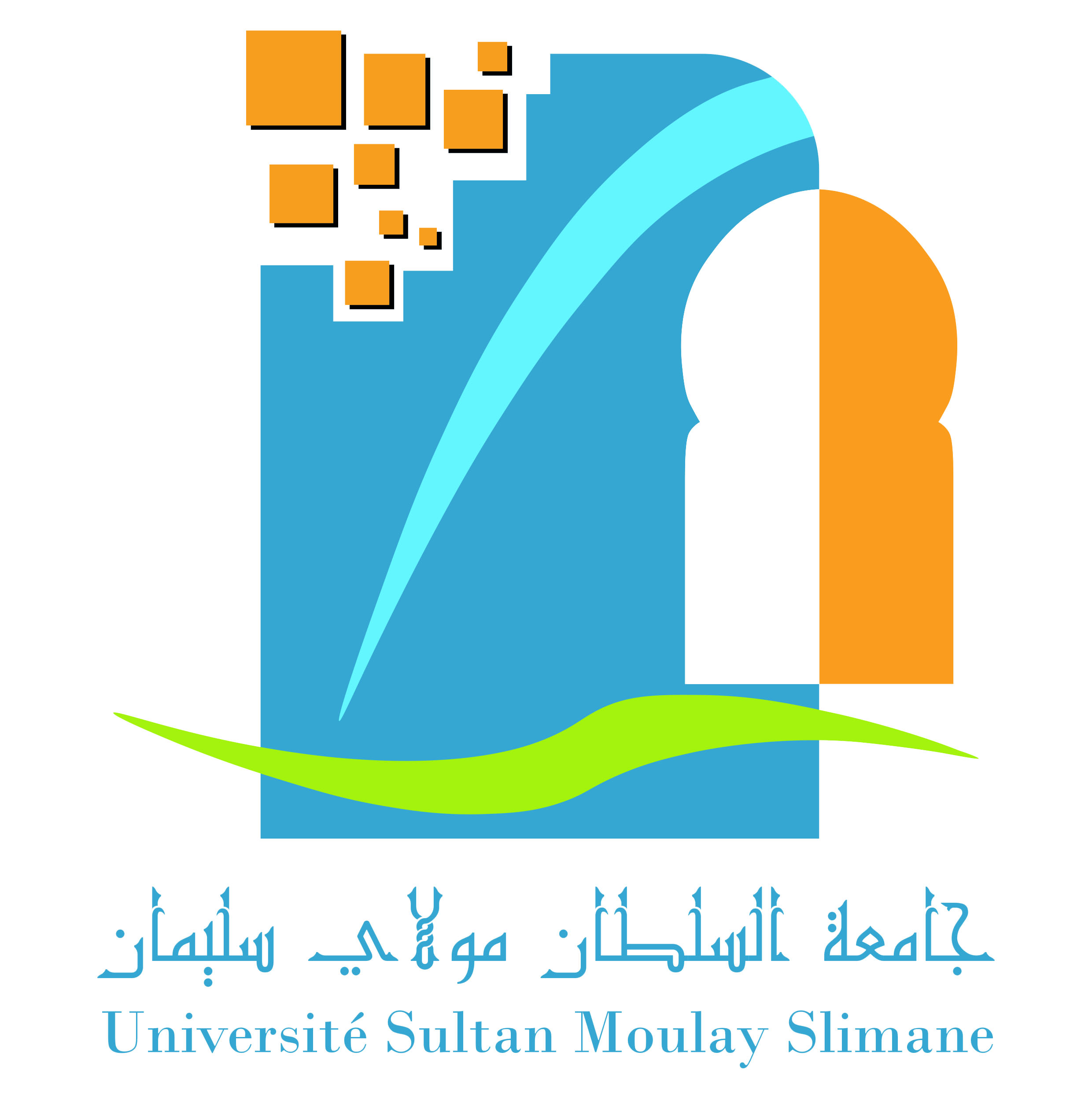 USMS logo